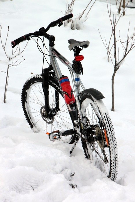 bike stands in the snow