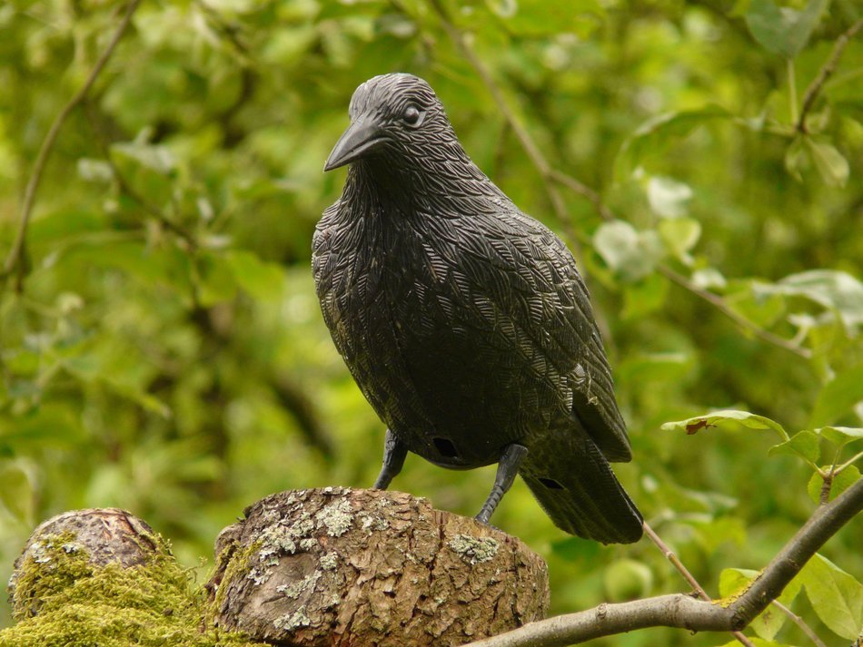 black crow statuette in the forest