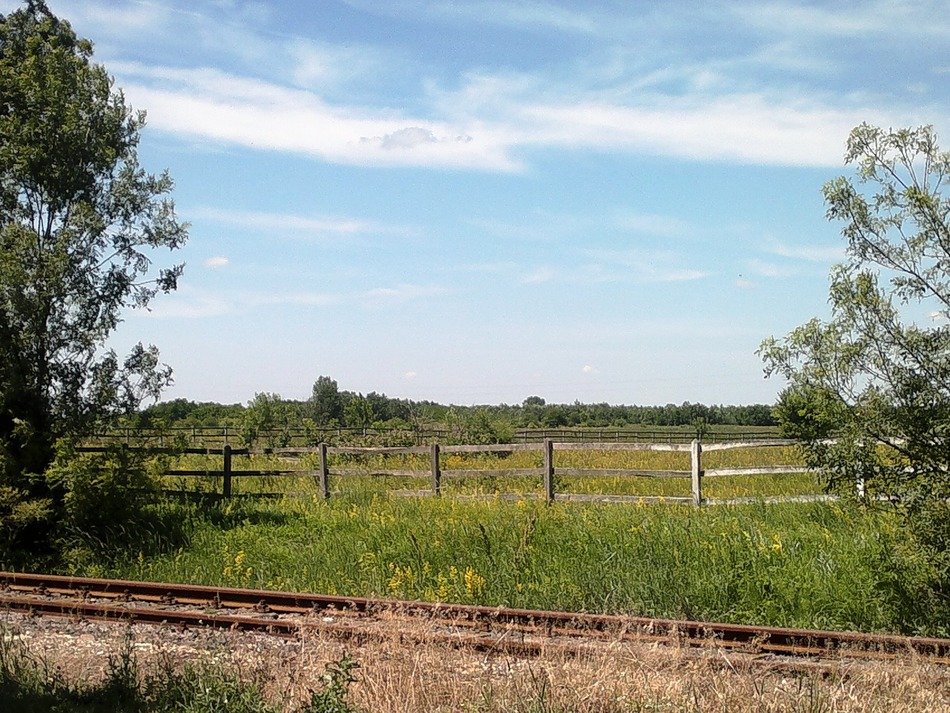 Picture of hungarian landscape