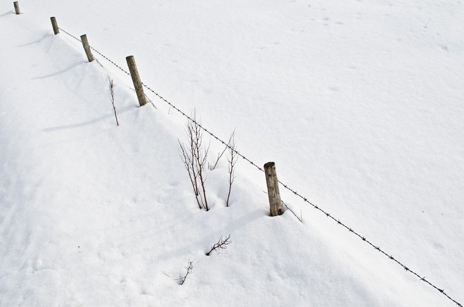 snowfall white cold seasons