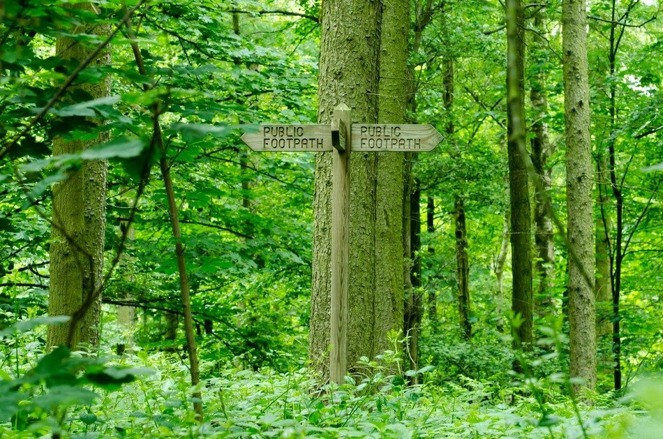 public footpath direction sign in forest