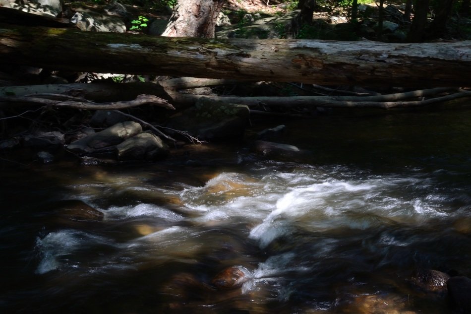 Water stream in spring