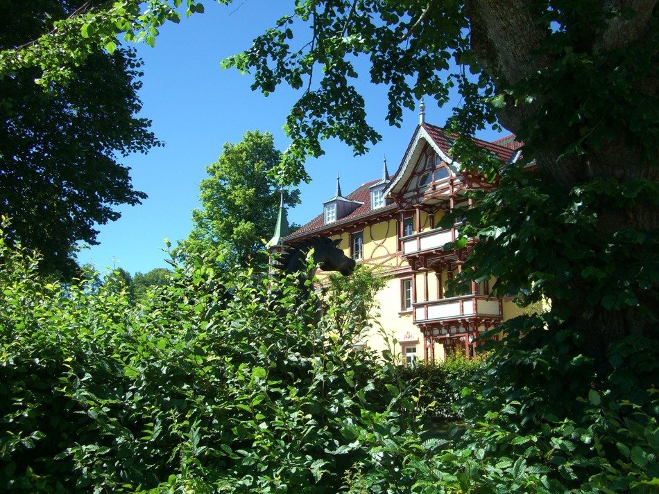 cafe golden crown in the black forest