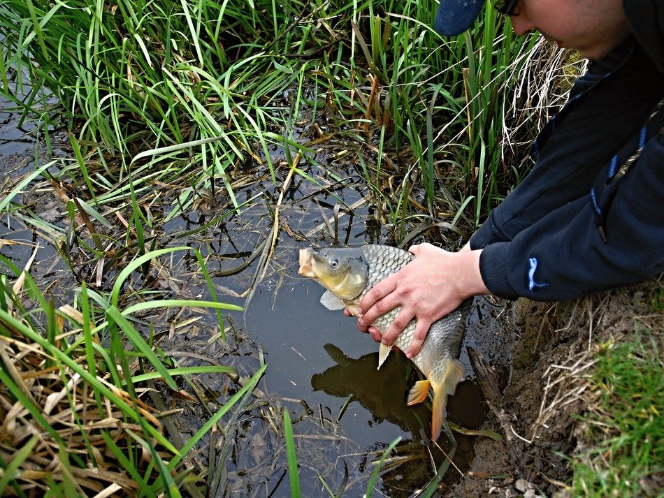picture of the fishing in a pond