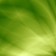 Floral ecology green abstract design