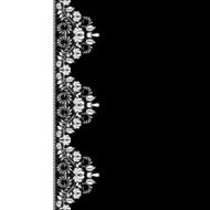 lace fabric background N42