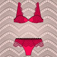 Hand drawn vector sexy lingerie set N17
