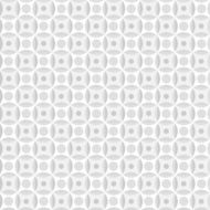 White Background N109