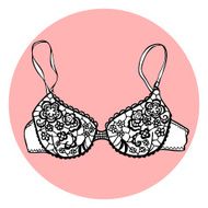 Lacy sexy vector bra N9