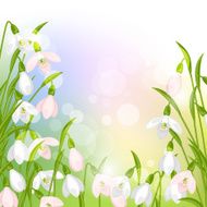Spring flowers snowdrops natural background N2