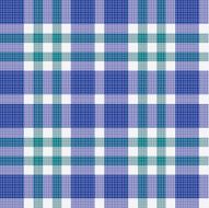 Color fabric plaid Seamless vector illustration N5