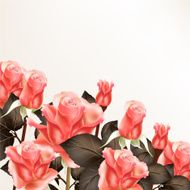 Background with Pink Roses N3