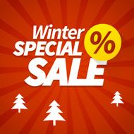 winter special sale offer poster N2