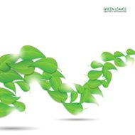 Green leaves abstract background N2