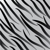 zebra texture eps 10 vector illustrator