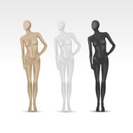 Vector Isolated Female Mannequin