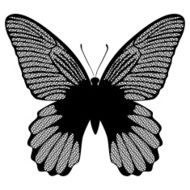 Black lace butterfly on white background vector