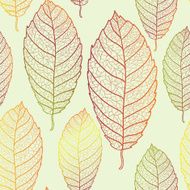 Autumn transparent leaves pattern background N2