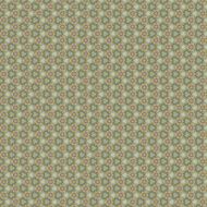 Vintage shabby background with classy patterns N926