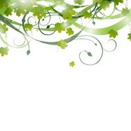 Vector floral background N33