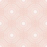 Lace seamless pattern N48