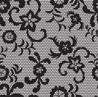 Lace seamless pattern with flowers N189