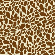 Giraffe Pattern N6