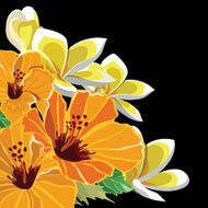 Floral Pattern N439