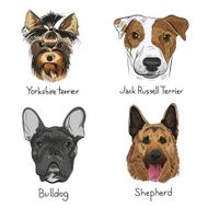 Set of hand drawn dogs vector illustration N5