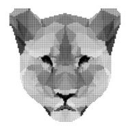 abstract monochrome lion portrait of circles isolated on white background