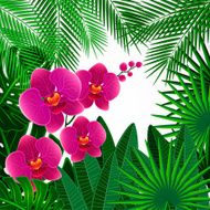 Floral design background Orchid flowers N5
