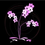 Orchid Japanese Abstract