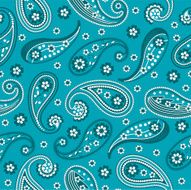 Vintage paisley N2