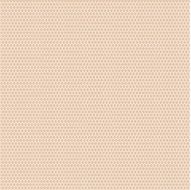 Lace pattern vector