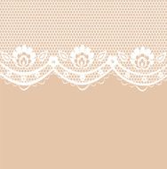 Beautiful delicate lace pattern vector illustration N5