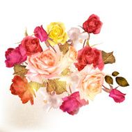 Beautiful vector roses painted in watercolor vintage style N2