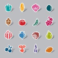 Fruit and Vegetables Color Icon Label