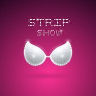 Triangular Shining Bra N2