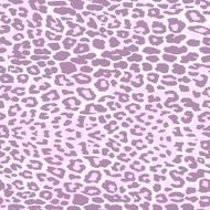 leopard skin pattern seamless light print 10 eps N2