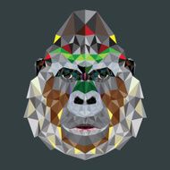 Gorilla head design in geometric pattern N2