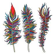 Vector retro feathers