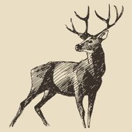 Deer Engraving Vintage Illustration Vector N3