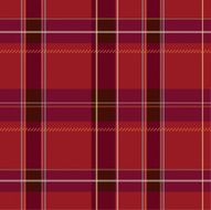 Plaid Pattern Illustration N5