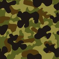 Camouflage design N5