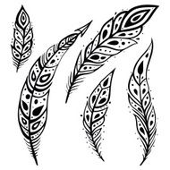 Peacock Feather set N4