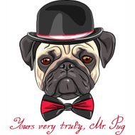 vector sketch hipster dog pug breed