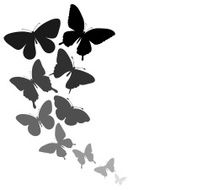 background with a border of butterflies flying N4