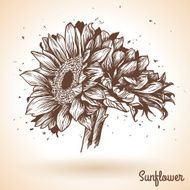 Sunflower in vintage style