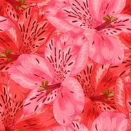 Beautiful seamless background with pink and red alstroemeria flower