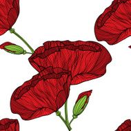 Vector hand drawn bright poppy flower in retro style N4